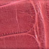 Alligator-raspberry